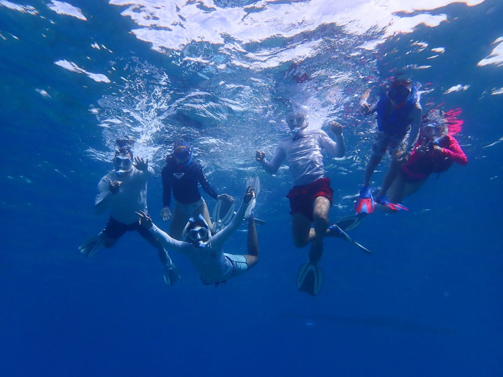 Best Snorkel Tour on Maui